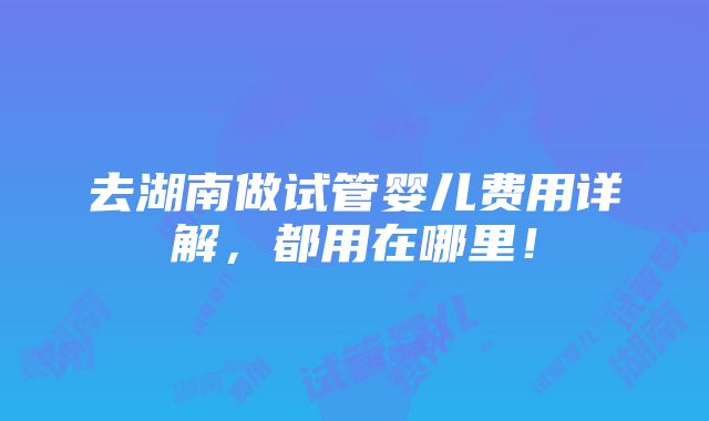 去湖南做试管婴儿费用详解，都用在哪里！