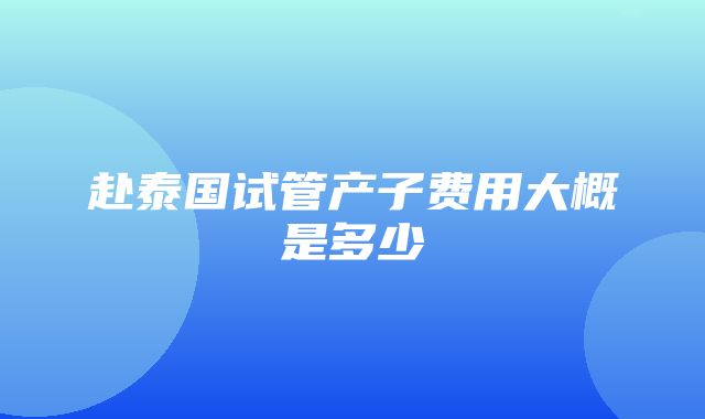 赴泰国试管产子费用大概是多少