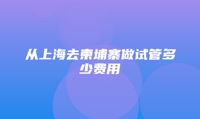 从上海去柬埔寨做试管多少费用