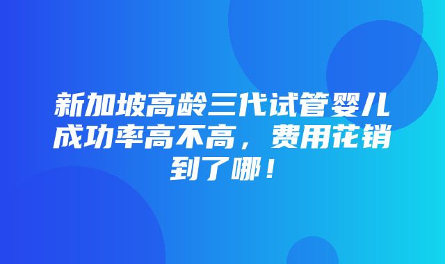 新加坡高龄三代试管婴儿成功率高不高，费用花销到了哪！