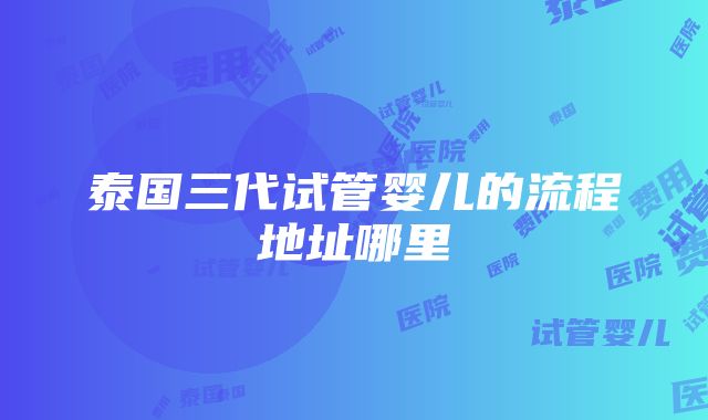 泰国三代试管婴儿的流程地址哪里