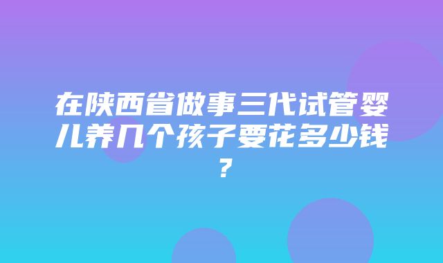 在陕西省做事三代试管婴儿养几个孩子要花多少钱？