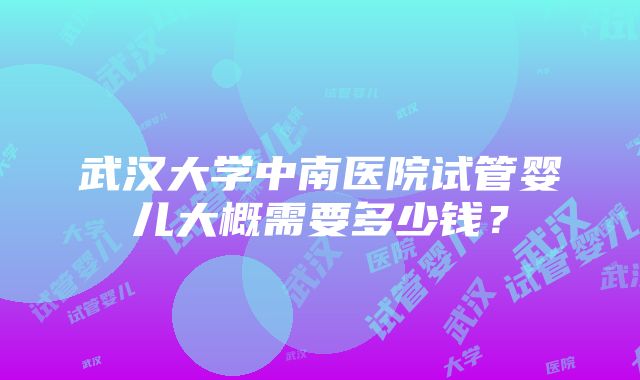 武汉大学中南医院试管婴儿大概需要多少钱？