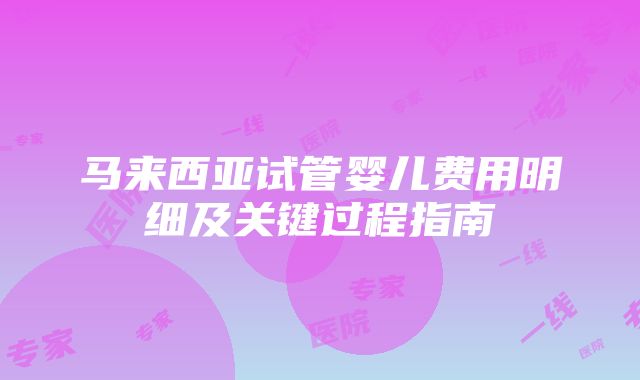 马来西亚试管婴儿费用明细及关键过程指南