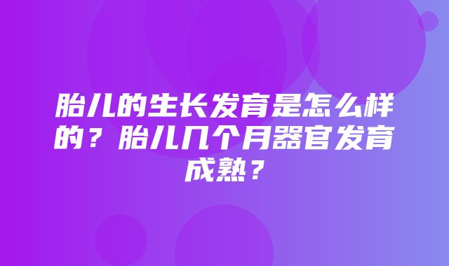 胎儿的生长发育是怎么样的？胎儿几个月器官发育成熟？