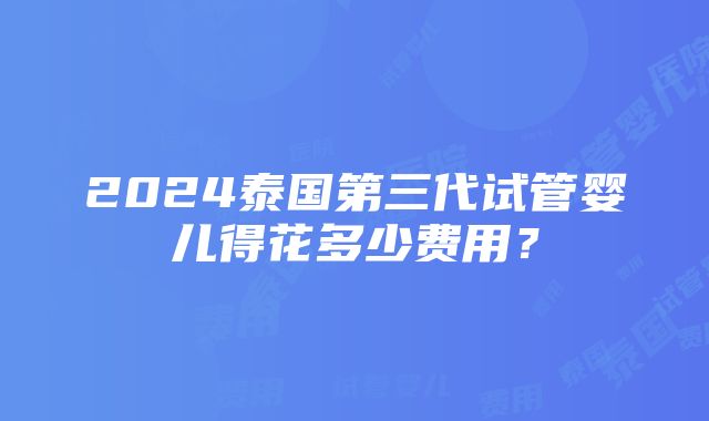 2024泰国第三代试管婴儿得花多少费用？