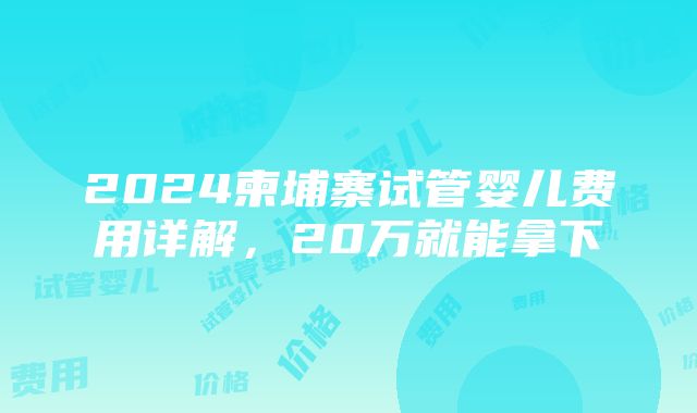 2024柬埔寨试管婴儿费用详解，20万就能拿下