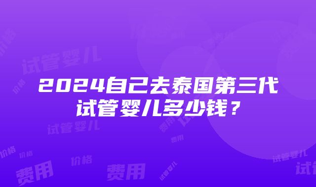 2024自己去泰国第三代试管婴儿多少钱？