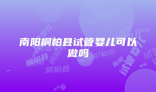 南阳桐柏县试管婴儿可以做吗