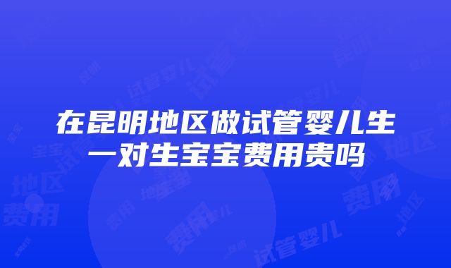 在昆明地区做试管婴儿生一对生宝宝费用贵吗