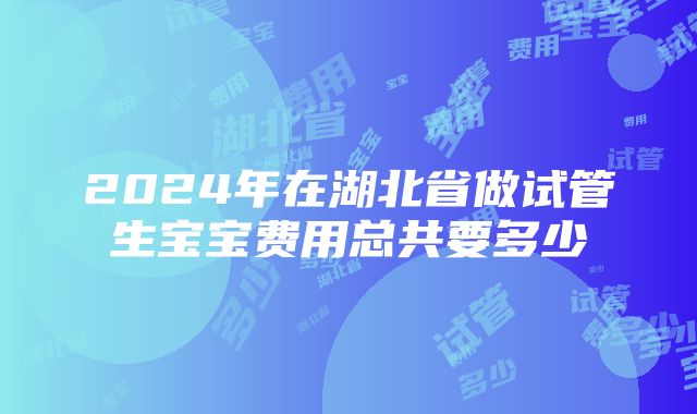 2024年在湖北省做试管生宝宝费用总共要多少