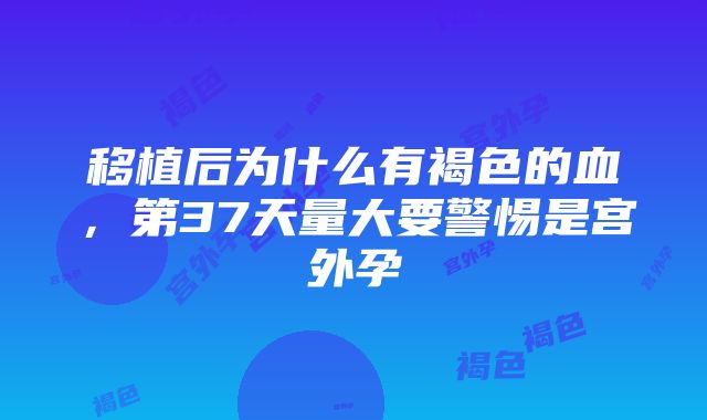 移植后为什么有褐色的血，第37天量大要警惕是宫外孕