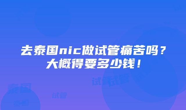 去泰国nic做试管痛苦吗？大概得要多少钱！