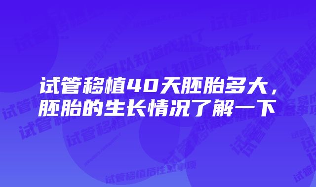 试管移植40天胚胎多大，胚胎的生长情况了解一下