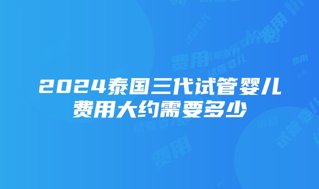 2024泰国三代试管婴儿费用大约需要多少