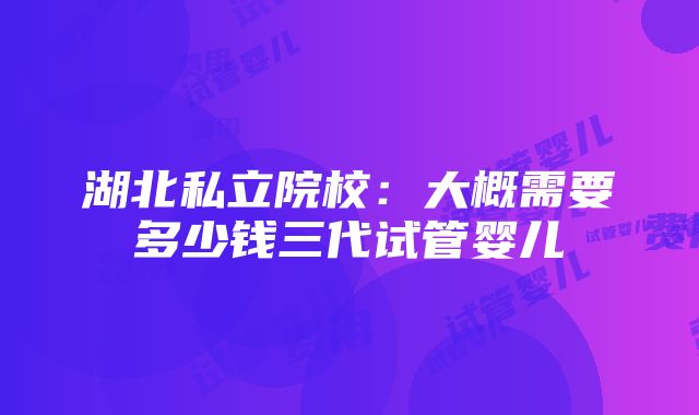 湖北私立院校：大概需要多少钱三代试管婴儿