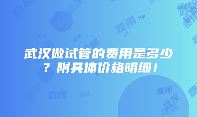 武汉做试管的费用是多少？附具体价格明细！