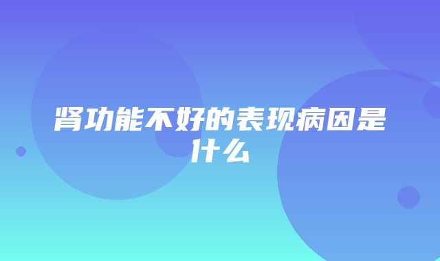 肾功能不好的表现病因是什么