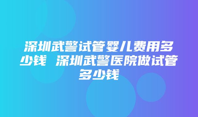 深圳武警试管婴儿费用多少钱 深圳武警医院做试管多少钱