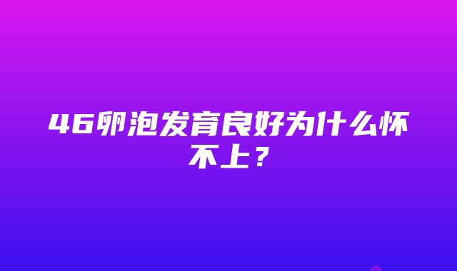 46卵泡发育良好为什么怀不上？