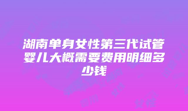 湖南单身女性第三代试管婴儿大概需要费用明细多少钱