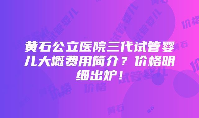 黄石公立医院三代试管婴儿大概费用简介？价格明细出炉！