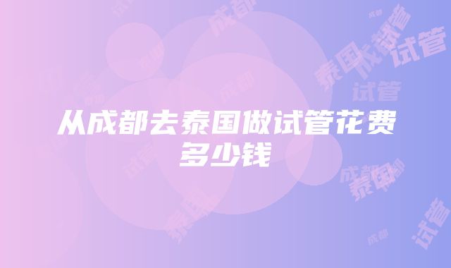 从成都去泰国做试管花费多少钱