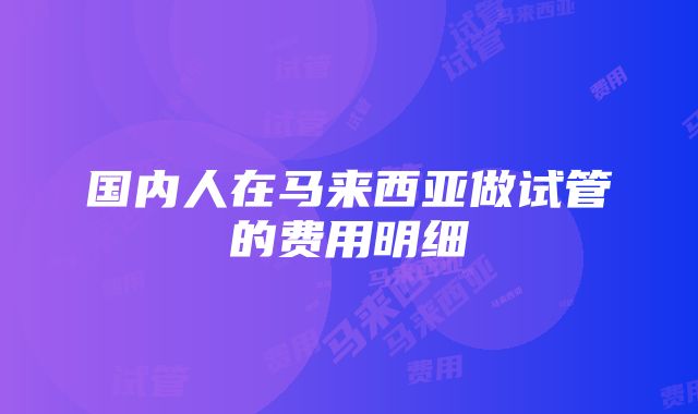 国内人在马来西亚做试管的费用明细