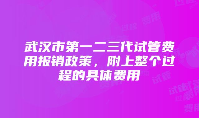 武汉市第一二三代试管费用报销政策，附上整个过程的具体费用