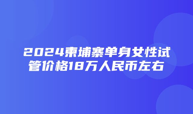 2024柬埔寨单身女性试管价格18万人民币左右