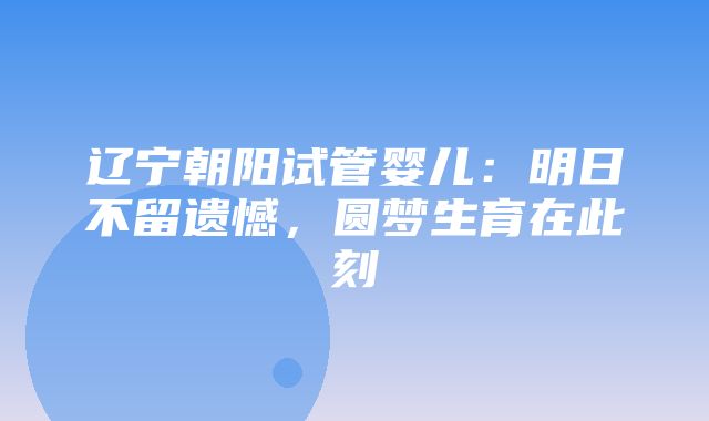 辽宁朝阳试管婴儿：明日不留遗憾，圆梦生育在此刻