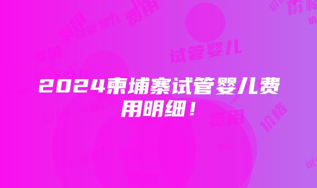 2024柬埔寨试管婴儿费用明细！