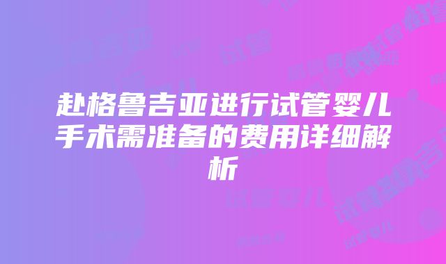 赴格鲁吉亚进行试管婴儿手术需准备的费用详细解析