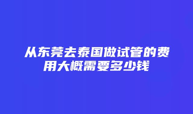 从东莞去泰国做试管的费用大概需要多少钱