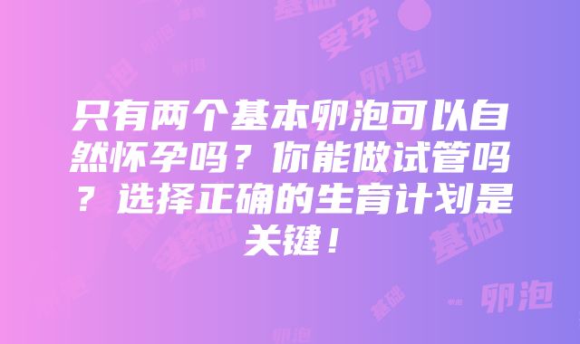 只有两个基本卵泡可以自然怀孕吗？你能做试管吗？选择正确的生育计划是关键！