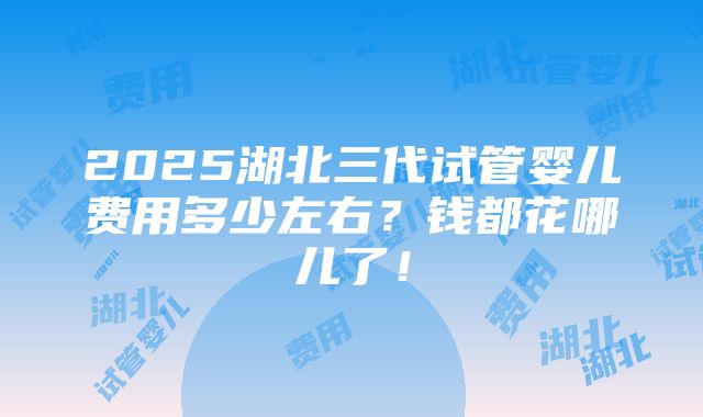 2025湖北三代试管婴儿费用多少左右？钱都花哪儿了！