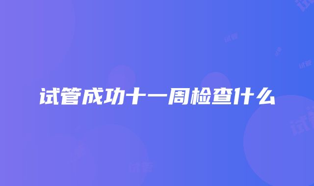 试管成功十一周检查什么