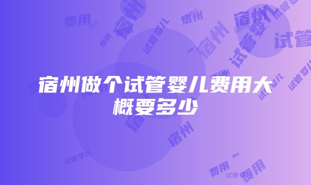 宿州做个试管婴儿费用大概要多少