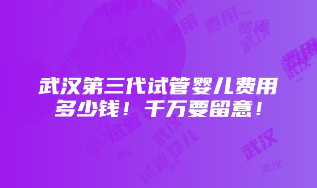 武汉第三代试管婴儿费用多少钱！千万要留意！