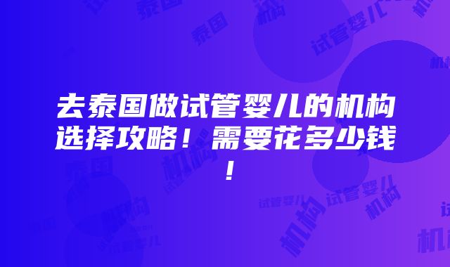 去泰国做试管婴儿的机构选择攻略！需要花多少钱！