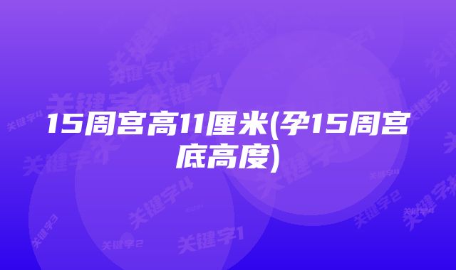 15周宫高11厘米(孕15周宫底高度)