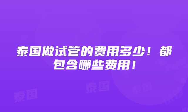 泰国做试管的费用多少！都包含哪些费用！