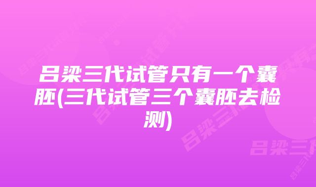 吕梁三代试管只有一个囊胚(三代试管三个囊胚去检测)