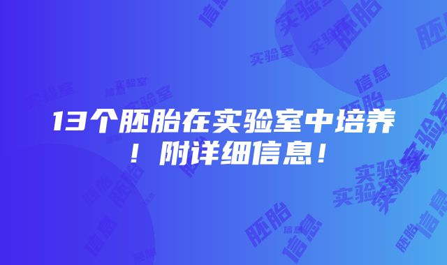 13个胚胎在实验室中培养！附详细信息！