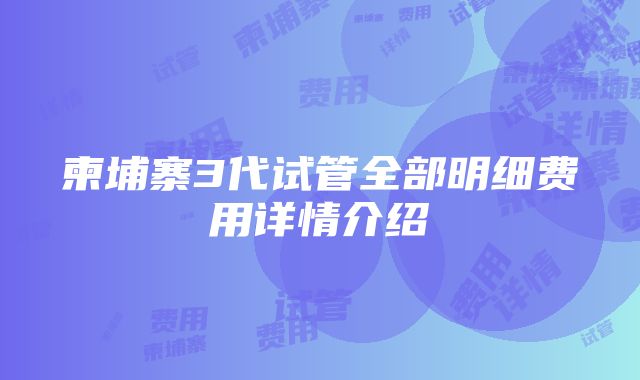 柬埔寨3代试管全部明细费用详情介绍