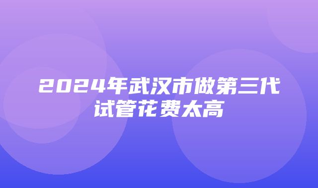 2024年武汉市做第三代试管花费太高