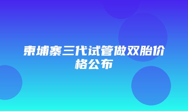 柬埔寨三代试管做双胎价格公布