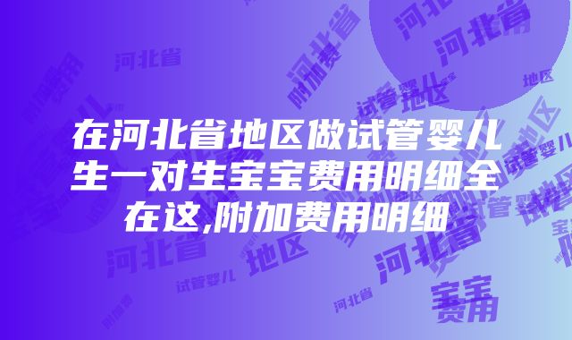 在河北省地区做试管婴儿生一对生宝宝费用明细全在这,附加费用明细