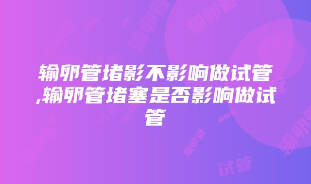 输卵管堵影不影响做试管,输卵管堵塞是否影响做试管