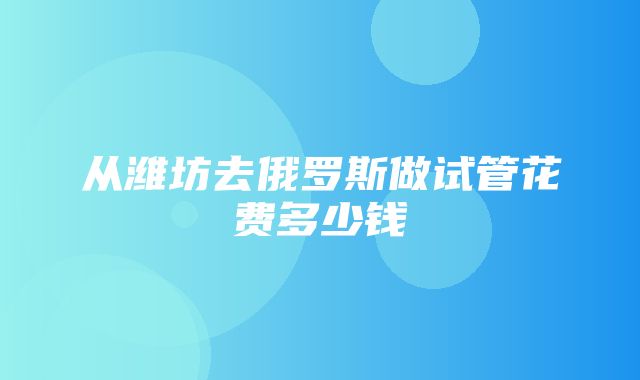 从潍坊去俄罗斯做试管花费多少钱